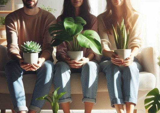 Plant Besties