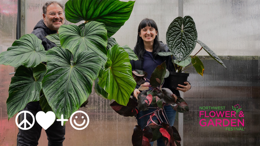 PLHC at the Northwest Flower and Garden Festival 2023