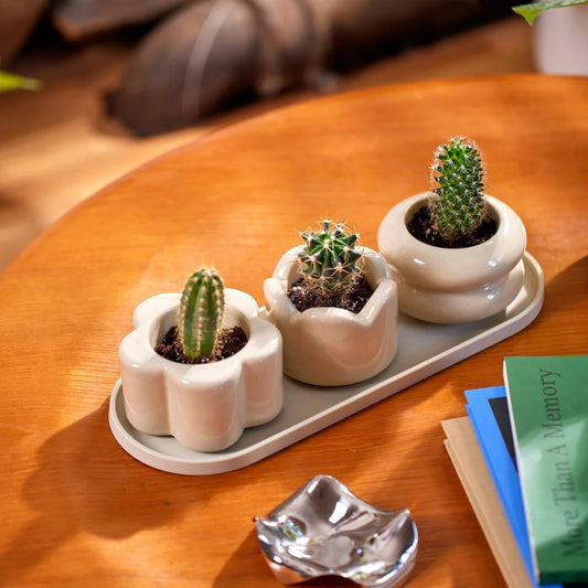 Mini Planter Trio