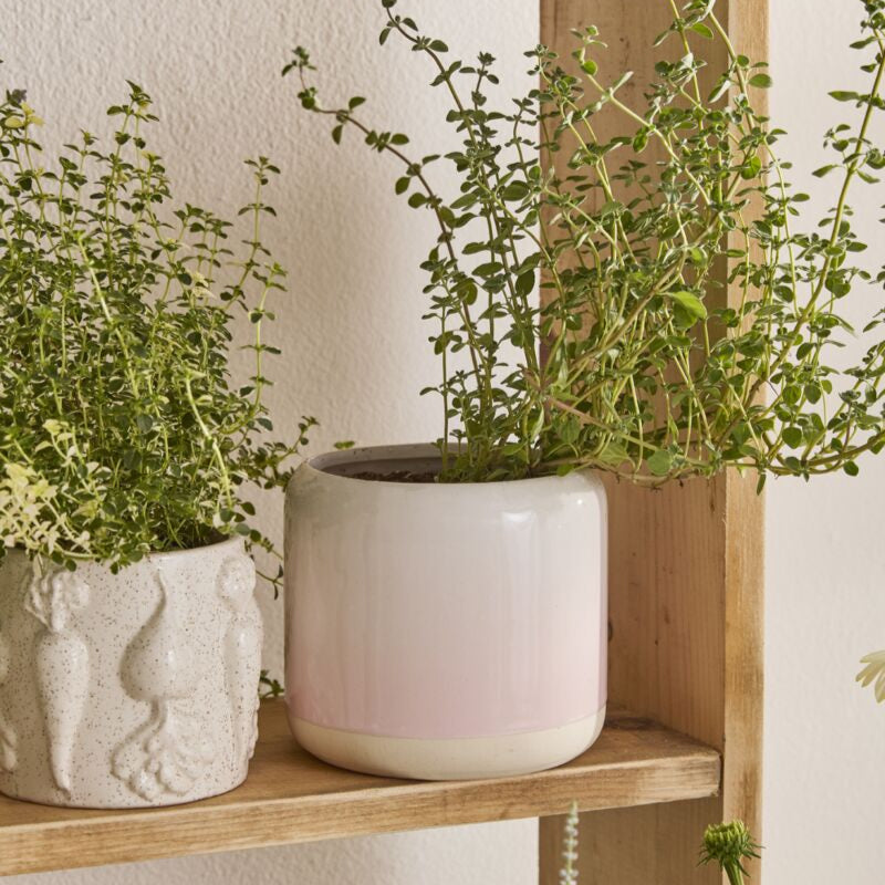 Skyway Pot -5.25" (light pink)