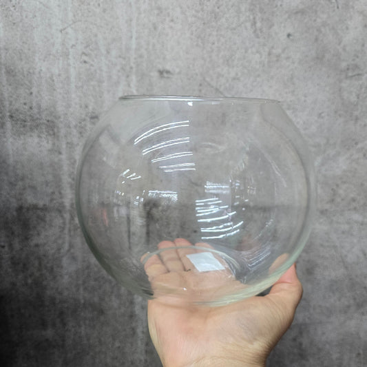 Bolla Terarium Glass Bowl - 6"