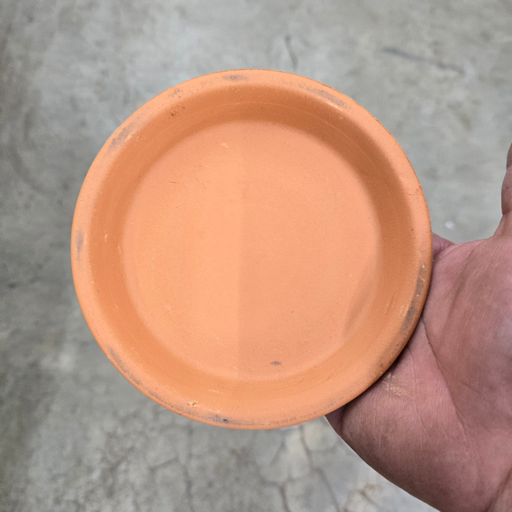 Deroma saucer - 4.3"