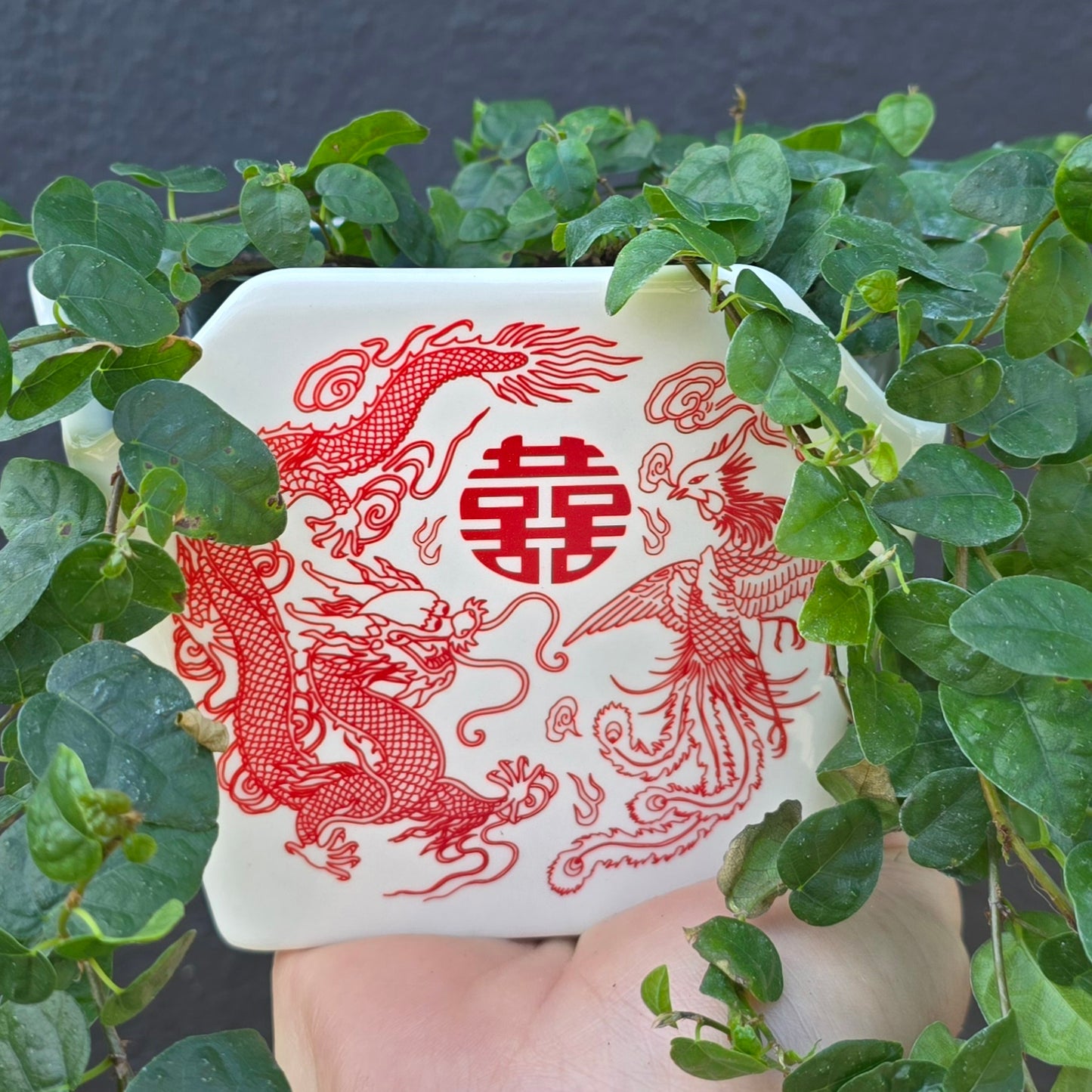 Take Out Ceramic Pot