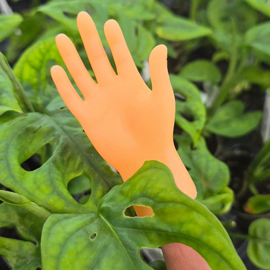 Miniatures - High Five