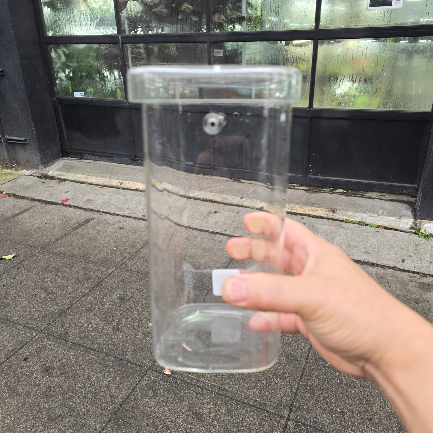 Skolog Terrarium - 8"