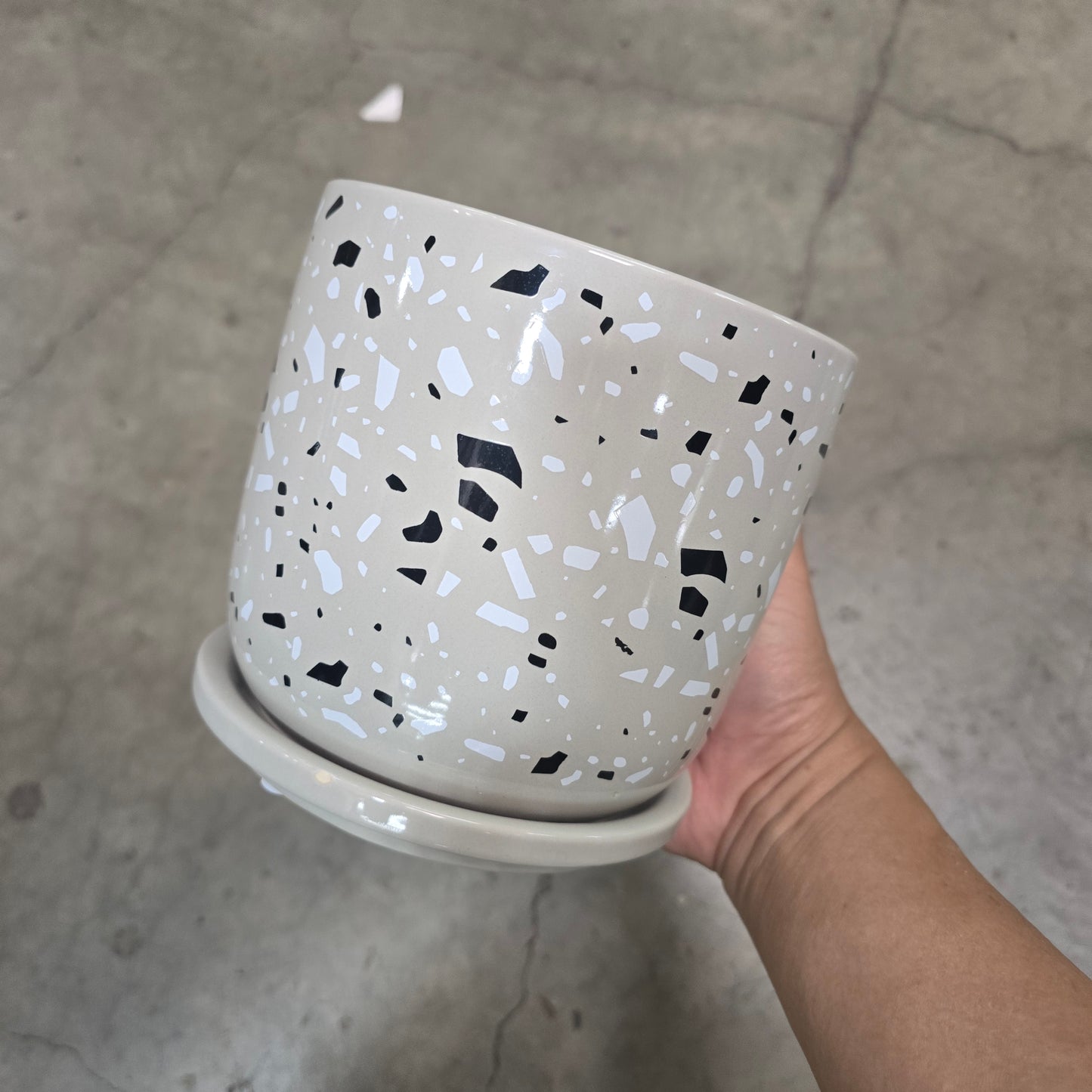 Terrazo Speckled Planter - 6" (grey)