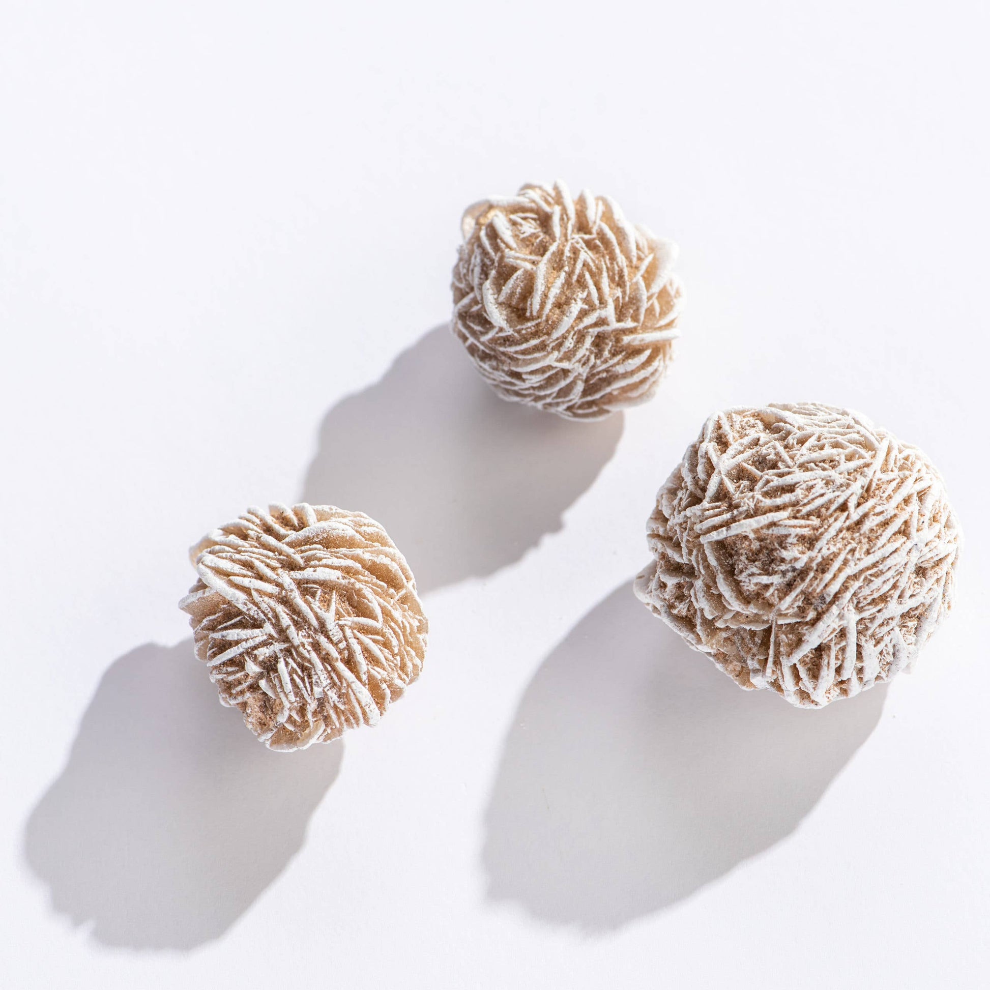 CRYSTALS - Gypsum Rosettes