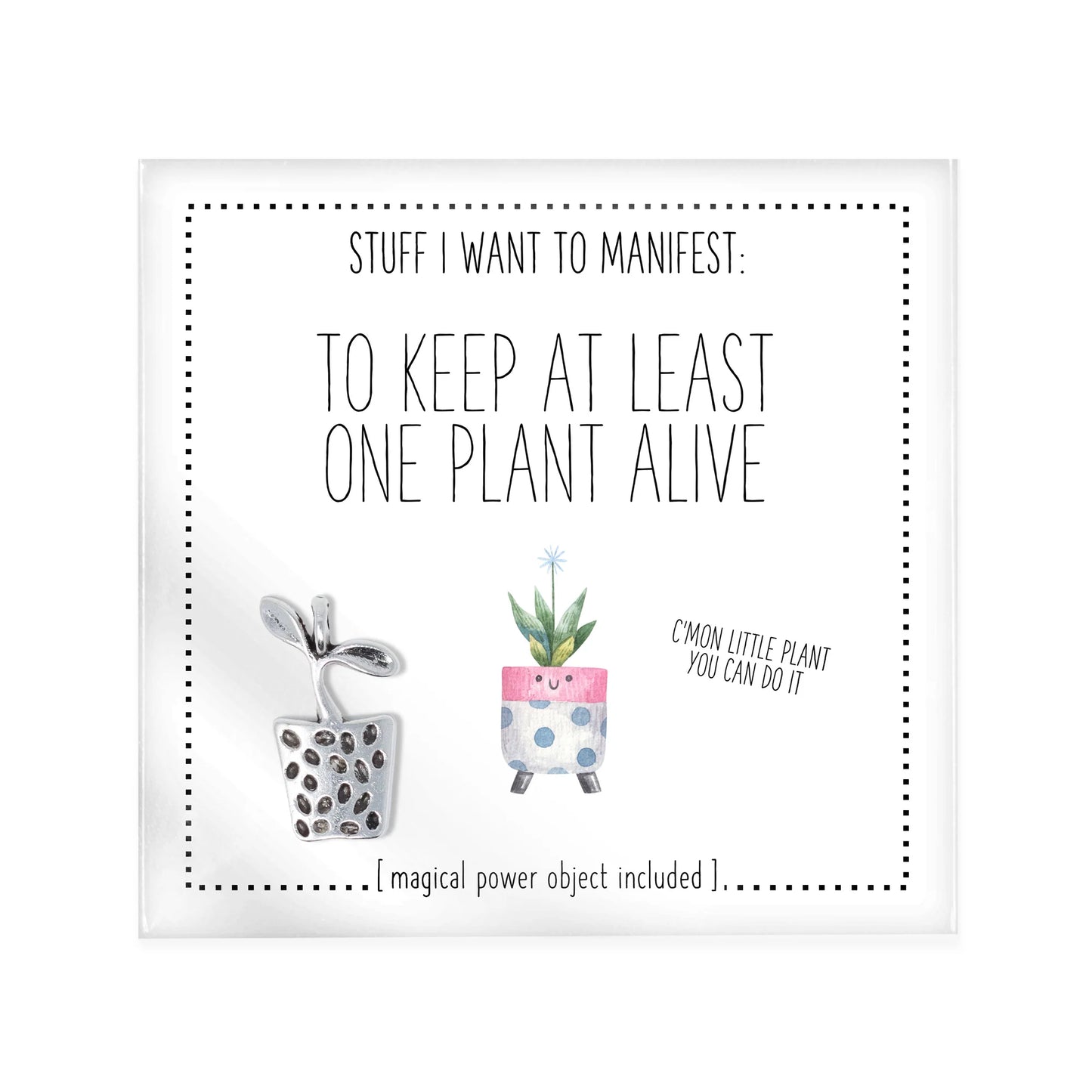 Stuff I want to  manifest - assorted