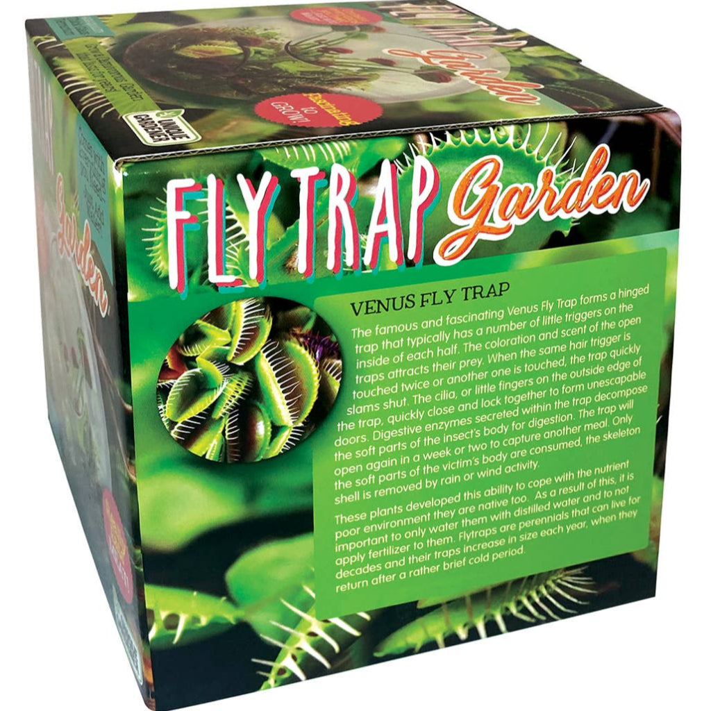 Flytraps Glass Terrarium