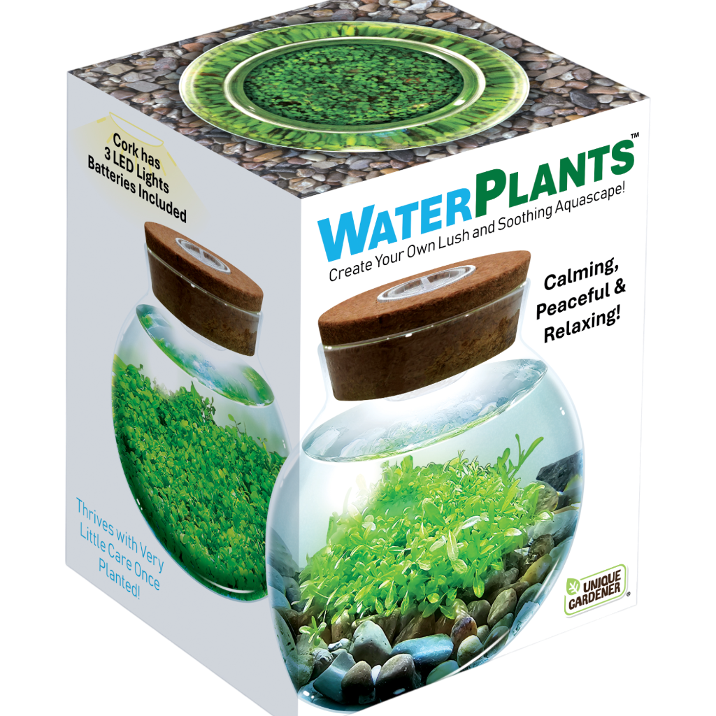 WaterPlants