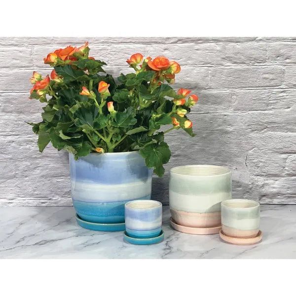 Horizon Planter W/Saucer - 3.25"