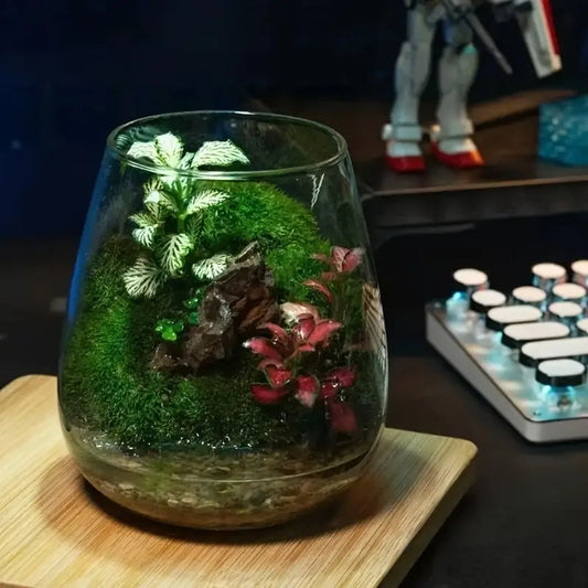 Drop Glass Terrarium