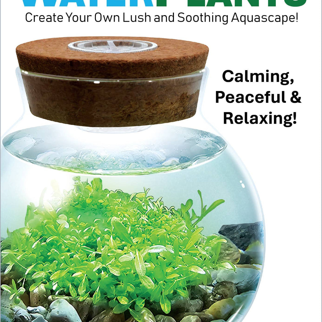 WaterPlants