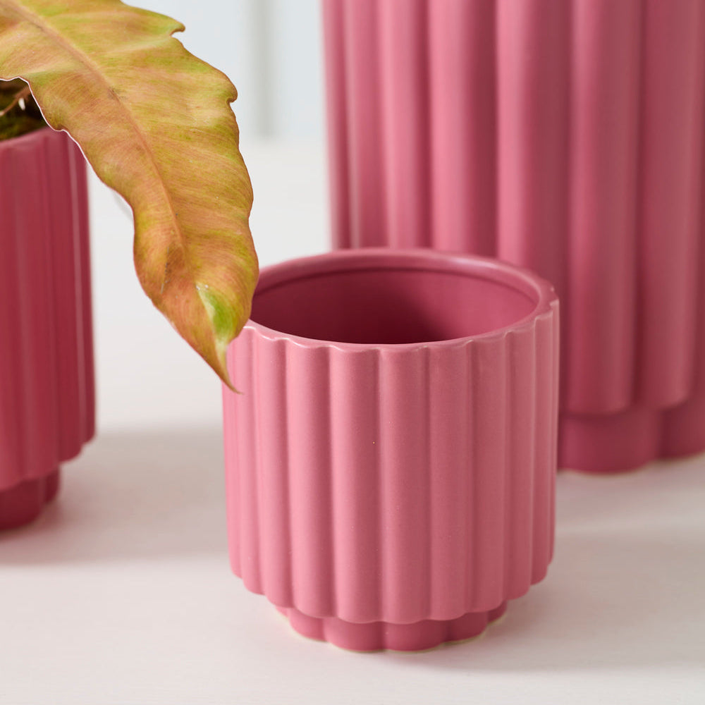 Carmen Pot - 4.5" (pink)