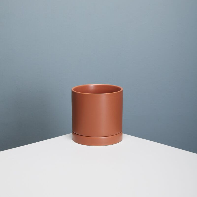 Romey - 5" terra cotta