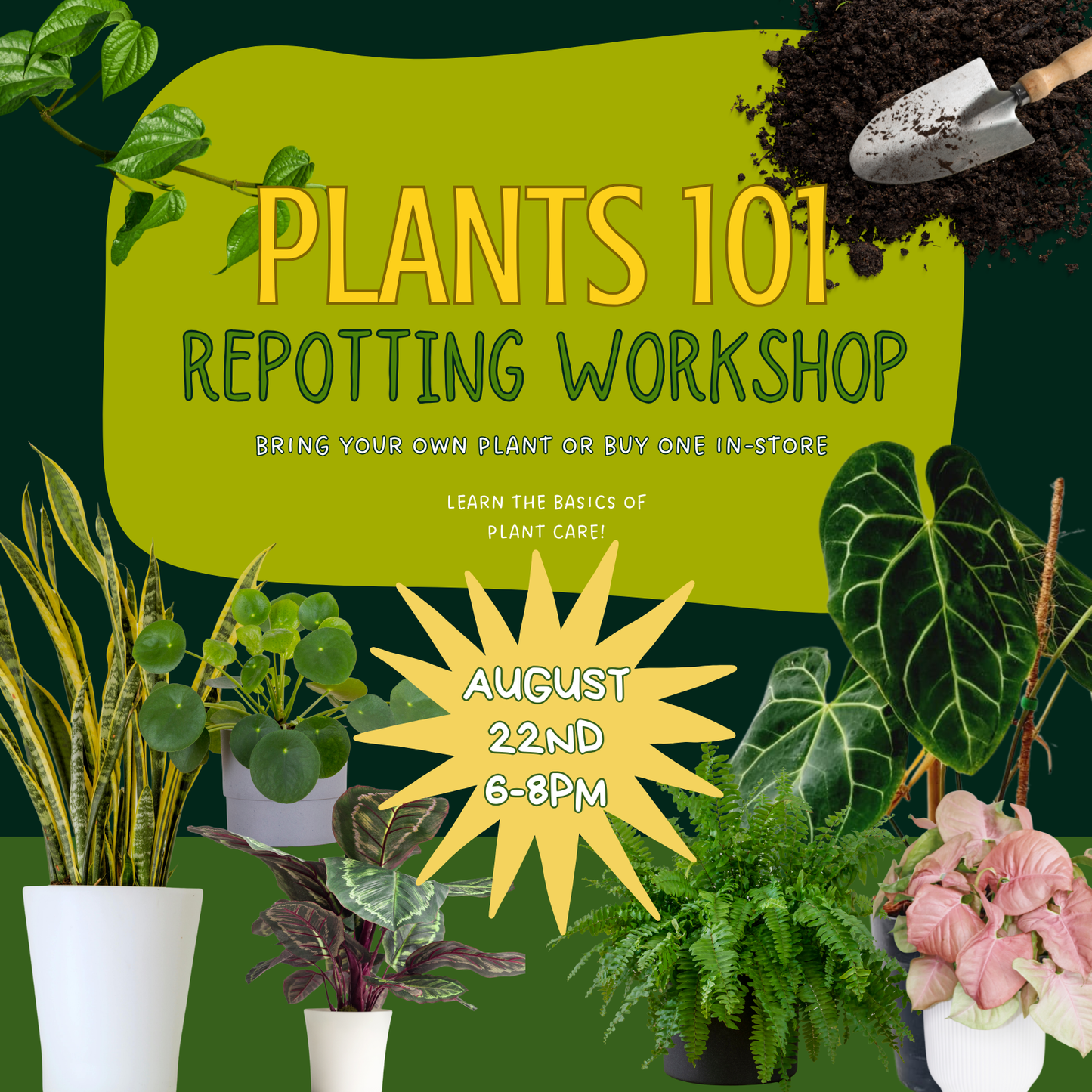 PLANTS 101 - Beginner Repotting Workshop (Aug 22)