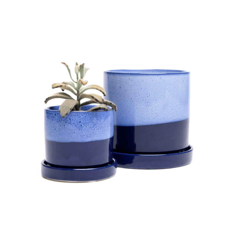 Minute Pot - Cobalt Blue