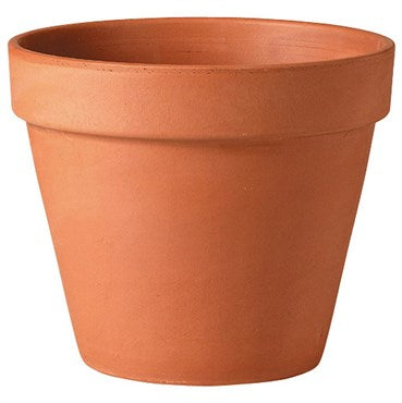 Deroma Standard Clay Pot - 2.8"