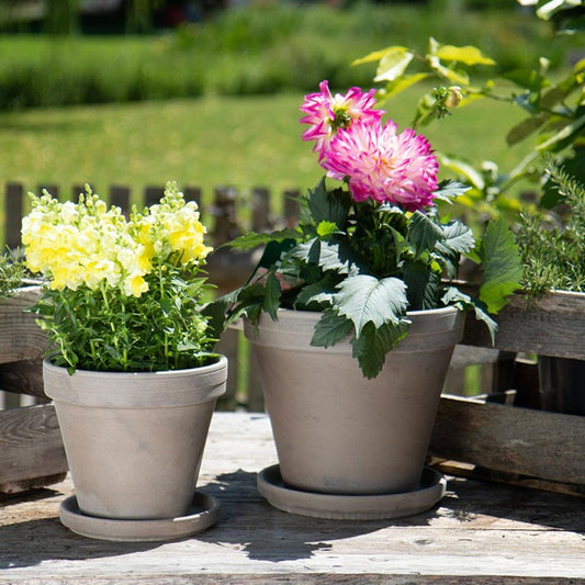 Terra Cotta Saucer - granite