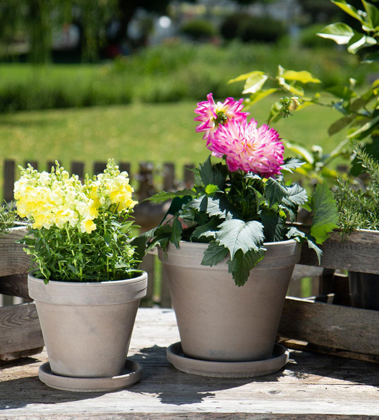 Standard Pot - 5" (dark marble)