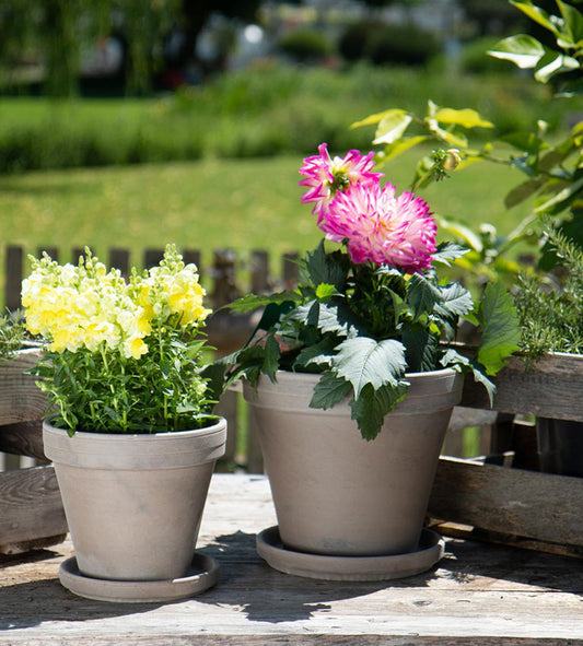 Standard Pot - 5" (dark marble)