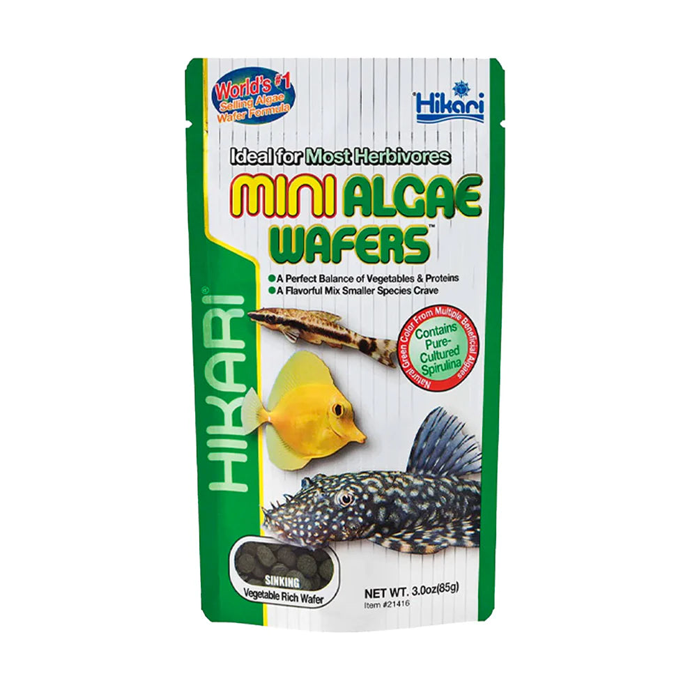Hikari Mini Algae Wafers - 22g