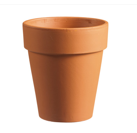 Extra Tall Standard (Rose Pot) – Terracotta 6"