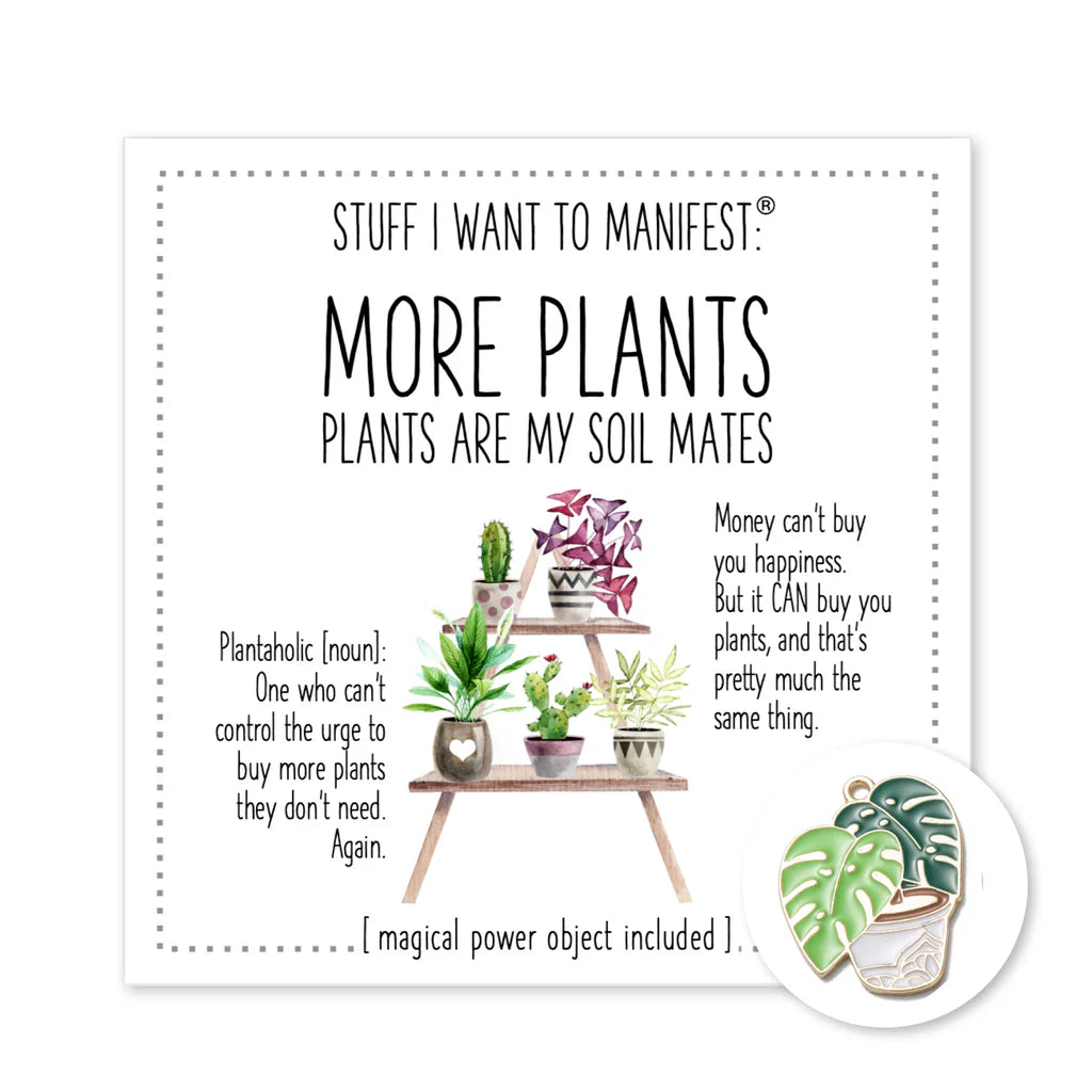 Stuff I want to  manifest - assorted