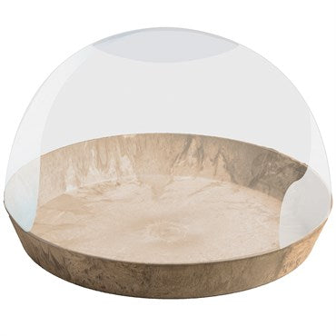 Napa Terrarium - 10"