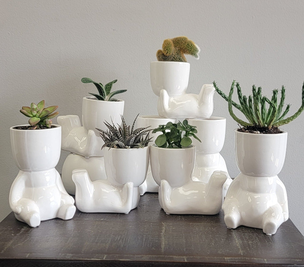 Plant People  Planter - 3.5"D