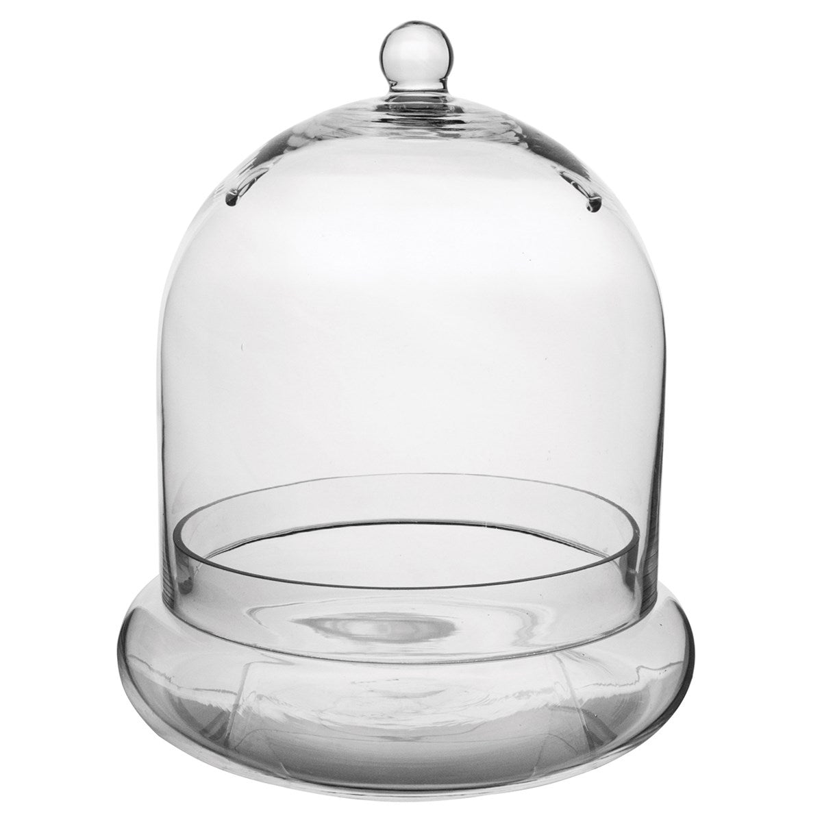 Terrarium Cloche - 10"