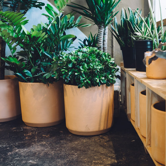 Deep Planter - terra cotta 8"