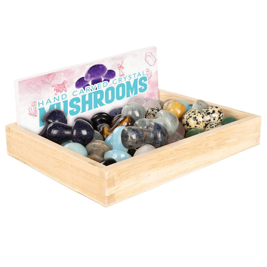 Cyrstal mushroom - assorted (1.5")