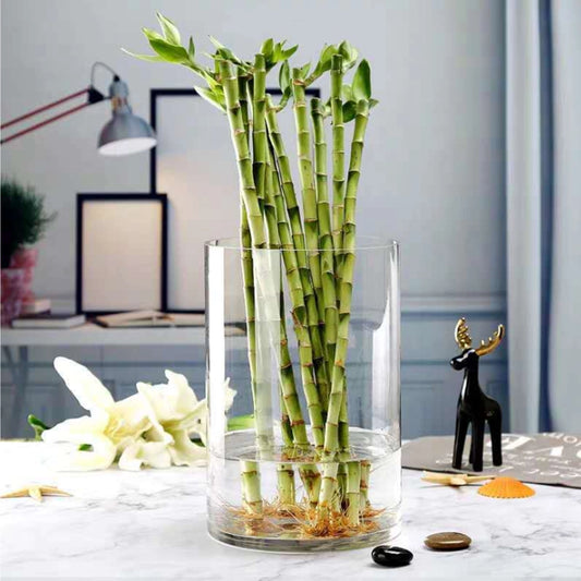 GLASS VASE - 8" X 10"