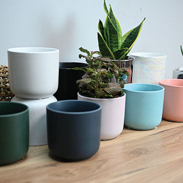 Element Pot - 4.5"