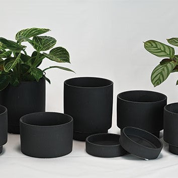 High Mesa -Black - 7"