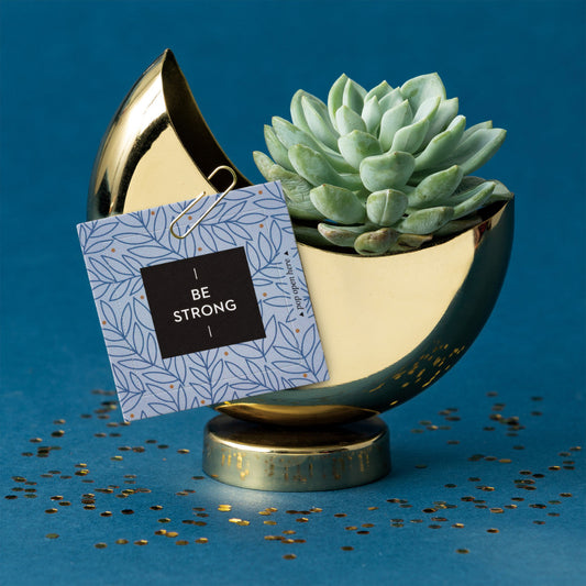 Thoughtfulls - Be Strong!