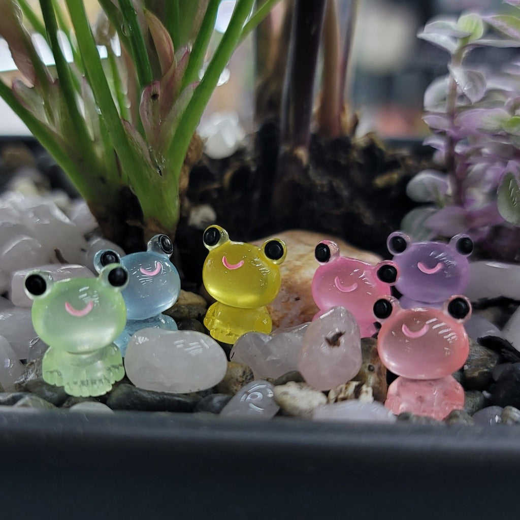 COOL SH*T - Kiss A Frog - Resin