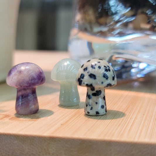 CRYSTALS - MINI MUSHROOM CHAKRA GEMSTONES
