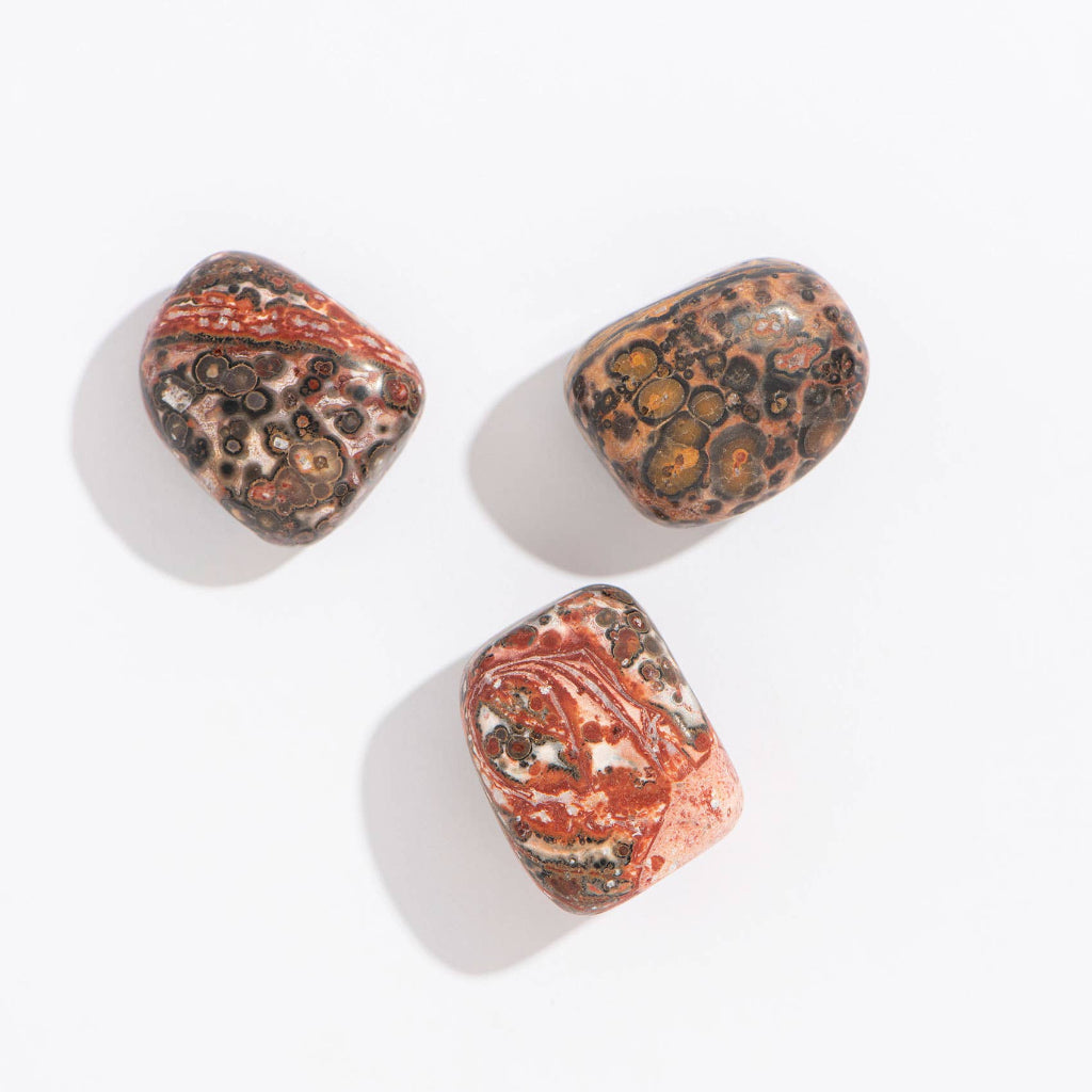 Tumbled Leopard Skin Jasper Crystals - 1”