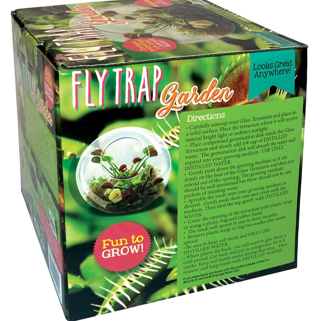 Flytraps Glass Terrarium