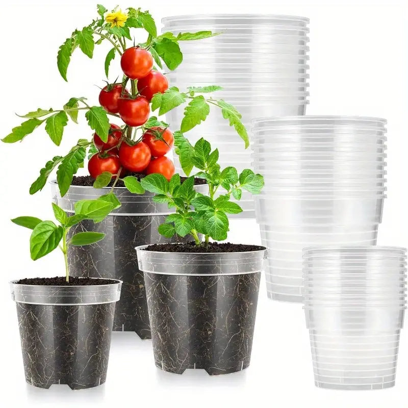 Lux Clear Nursery Pot