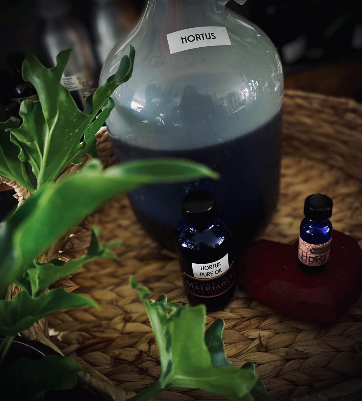 FRAGRANCE - Hortus - 1ml