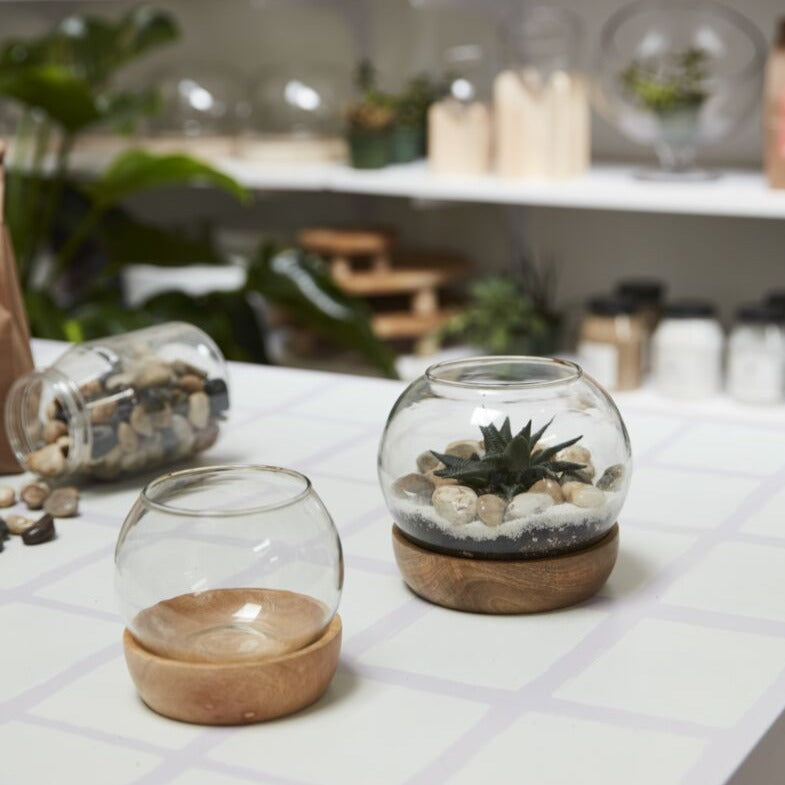 Full view terrarium - 4.75"