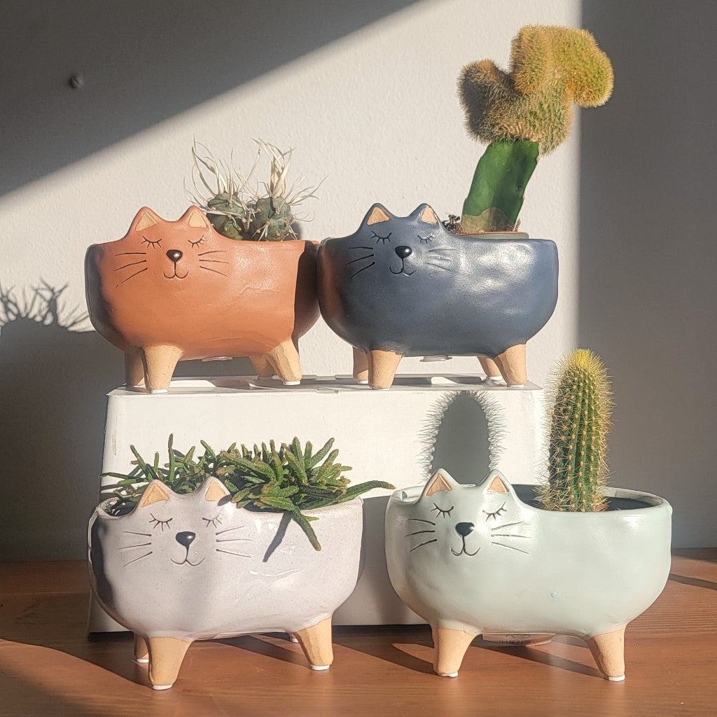 Kitty Pot - 4"D
