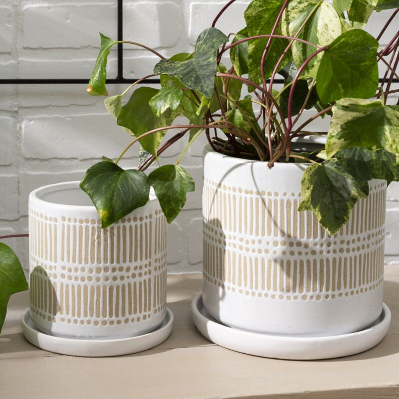 Linden Pot - 4"