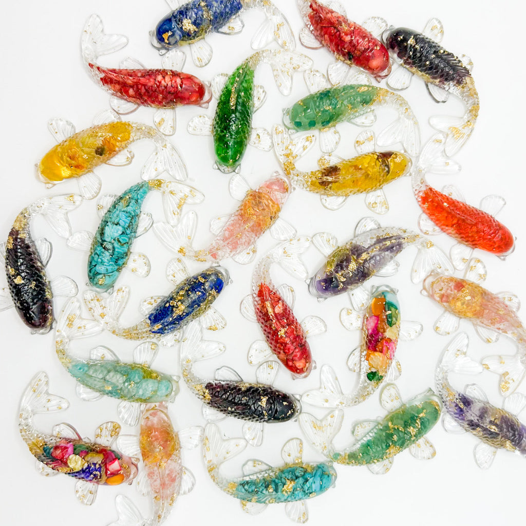 Lucky Koi Fish - Assorted