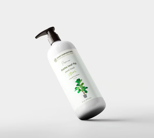 Easy Harvesting - Ficus Plant Food