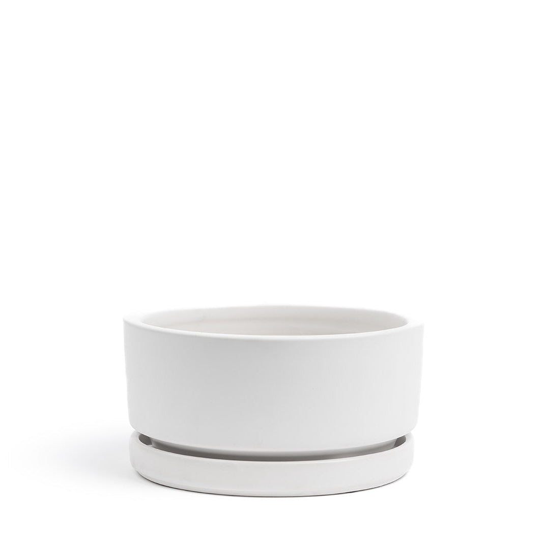 Momma Pot - Low Bowl - 6"