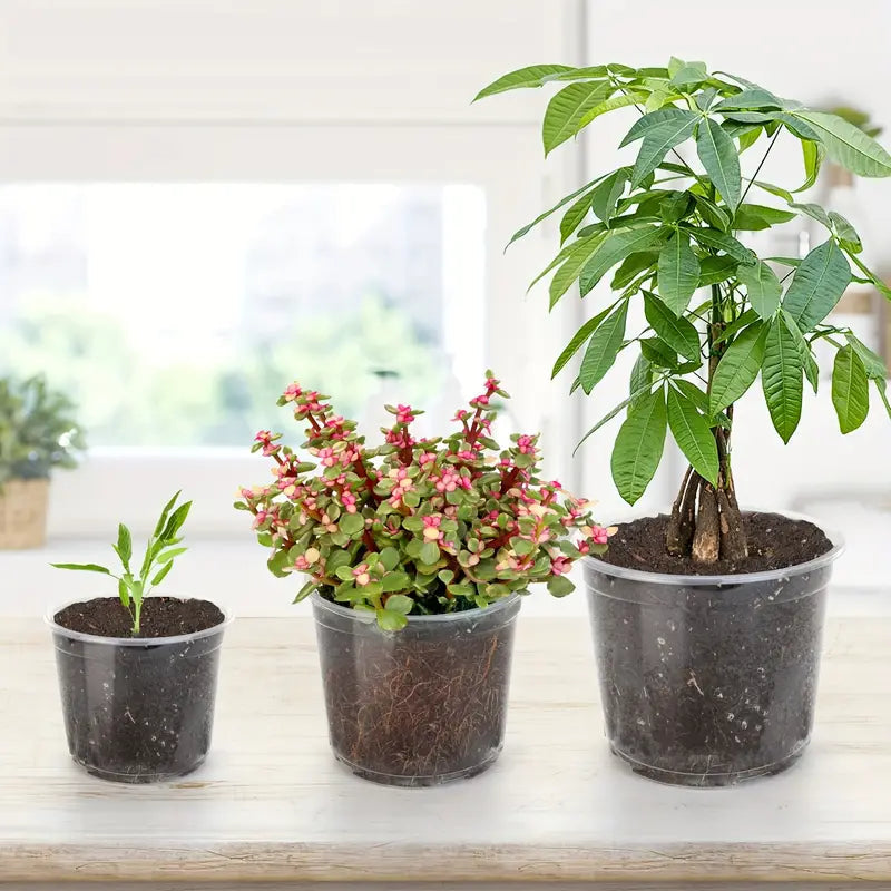 PLANTERS - Clear Growers Pot